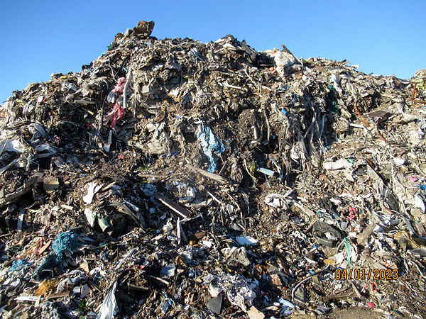 Odeur et aspect immondes