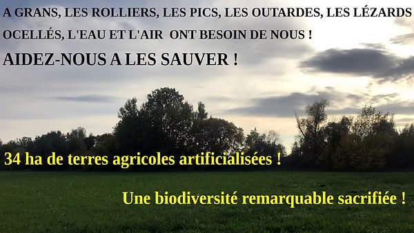 Grans, la biodiversité menacée. Aidez nous !