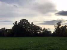 Grans. 34ha de terres agricoles menacées